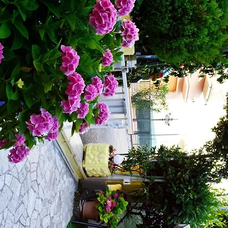 In Guest - New Cirene Economy Single Ρίμινι